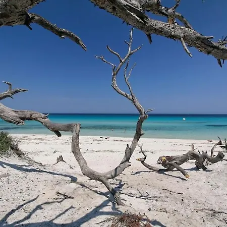 Carletti à 3min Des Plages Villa *