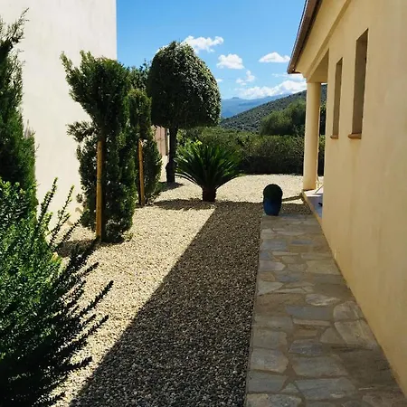 Carletti A 3min Des Plages Villa Oletta (Corsica)