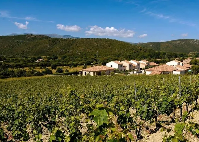 Carletti A 3min Des Plages * 奥莱塔