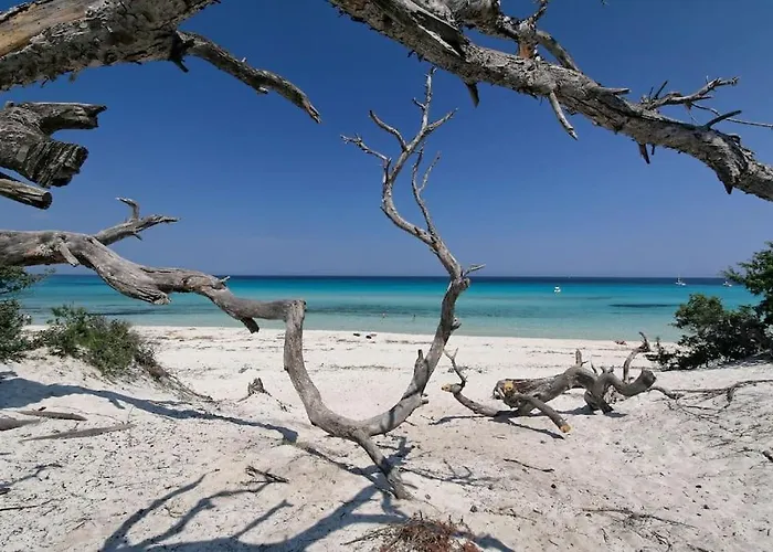 Carletti A 3min Des Plages 别墅 *